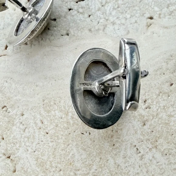 Elegant Silver and Gray Stone Earrings